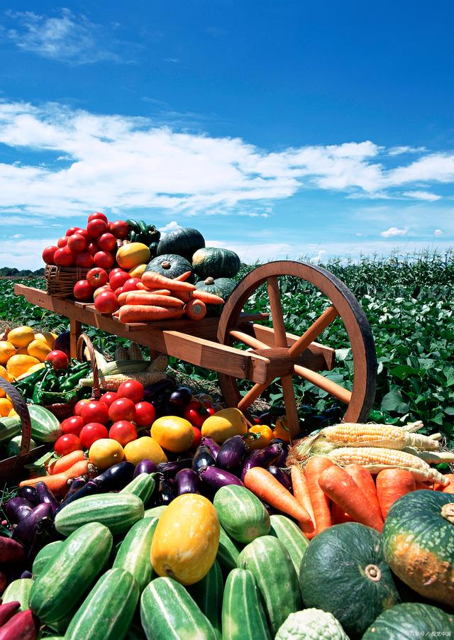 新規(guī)落地，守護(hù)舌尖安全——孫海山律師解讀《食用農(nóng)產(chǎn)品市場(chǎng)銷售質(zhì)量安全監(jiān)督管理辦法》